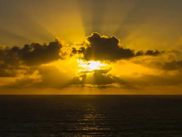 the sun in the sky